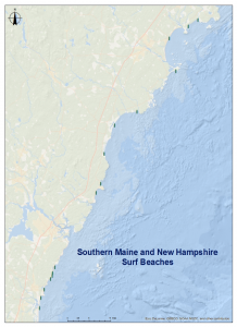 SurfBeaches